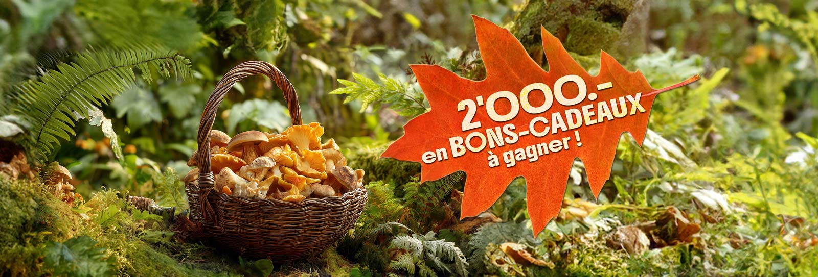 Concorso a premi ottobre Cesto con funghi